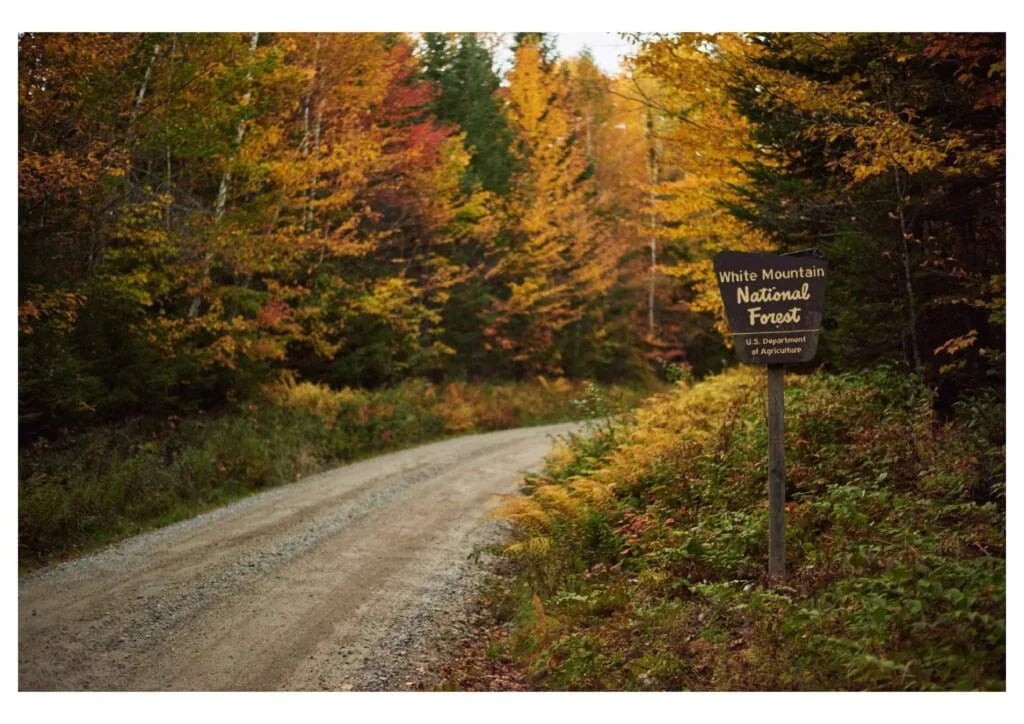 Agroforesty-planning-policy