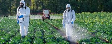 Farmer Health Safety at Farm