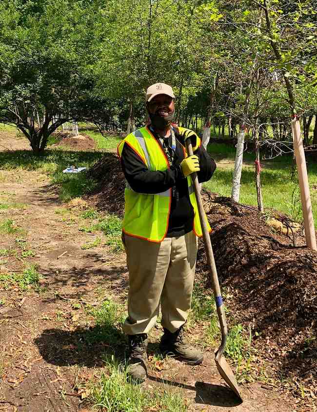 Tree Planting Jobs at USA