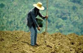 zero-tillage-seed-sowing