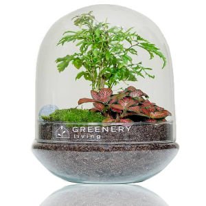 Global Climate Scenario