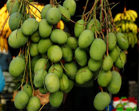 Protecting fruits World Food Safety Day