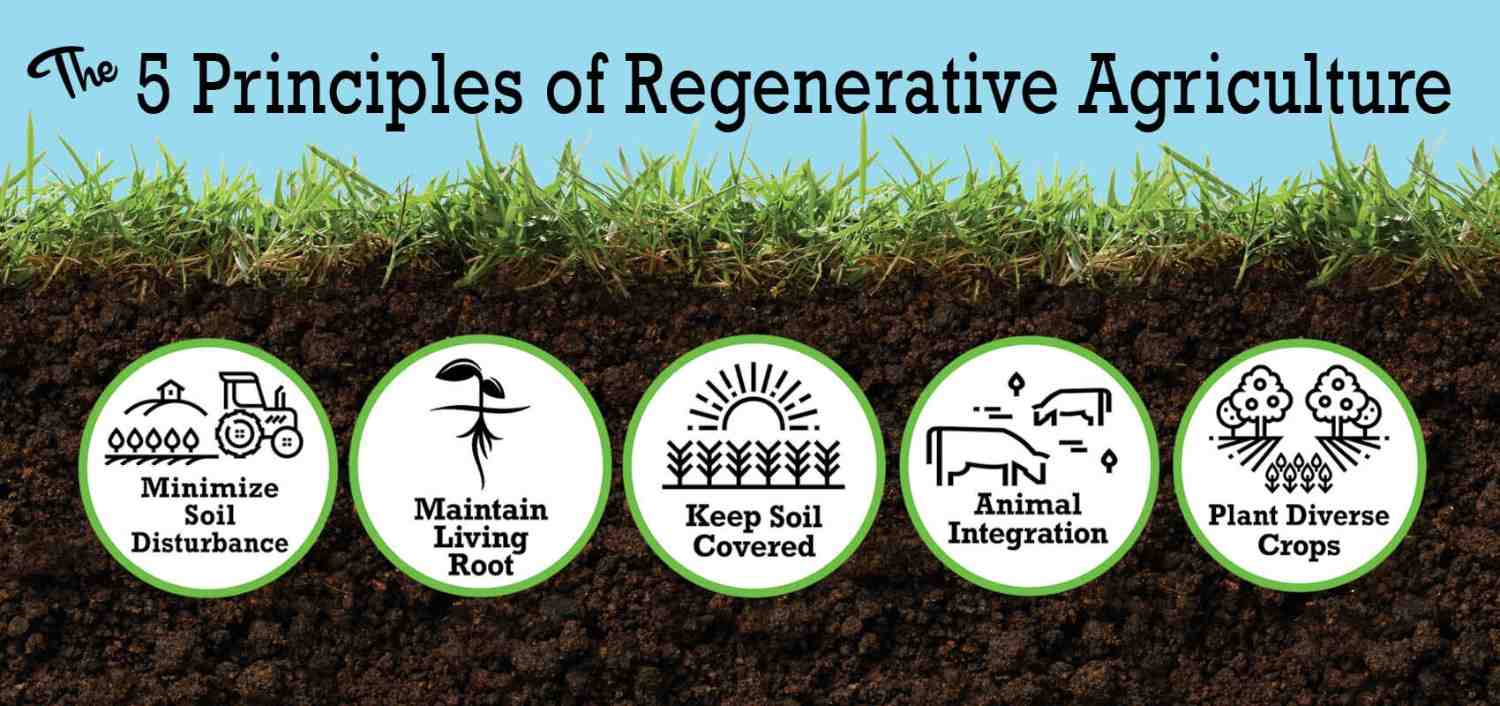 The Five Key Principles for Soil Health
