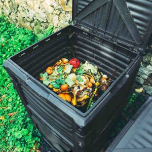 Composting bin