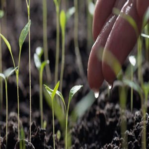 Regenerative Farming Practices