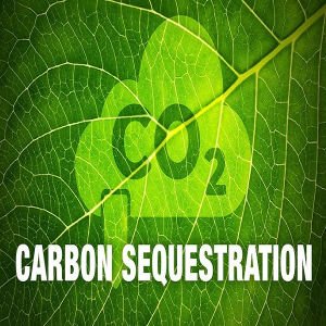 discuss the environmental benefits of carbon sequestration.