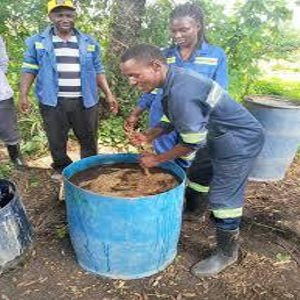 irish fermentation organic farmer